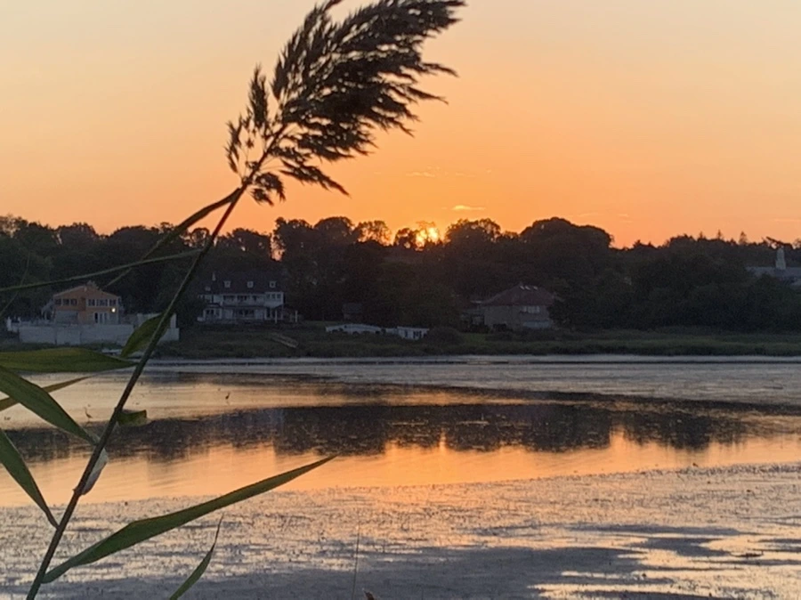 IMG_8870.jpg?type=w966