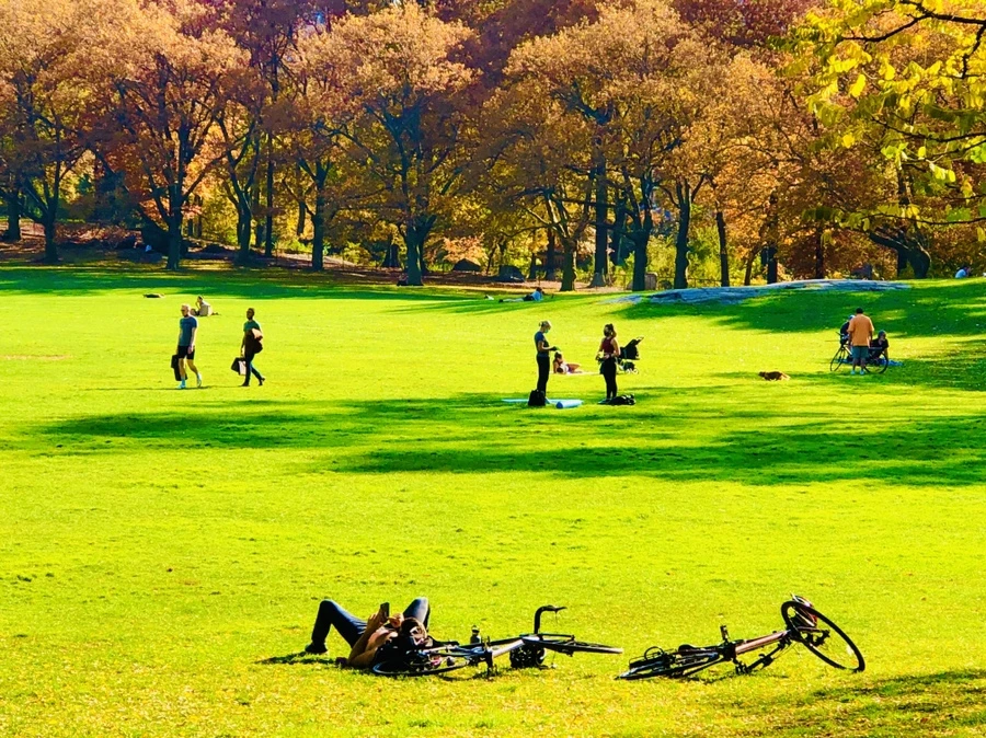 IMG_4356.jpg?type=w966