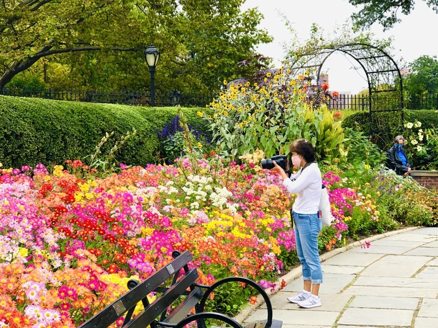 IMG_2460.jpg?type=w966