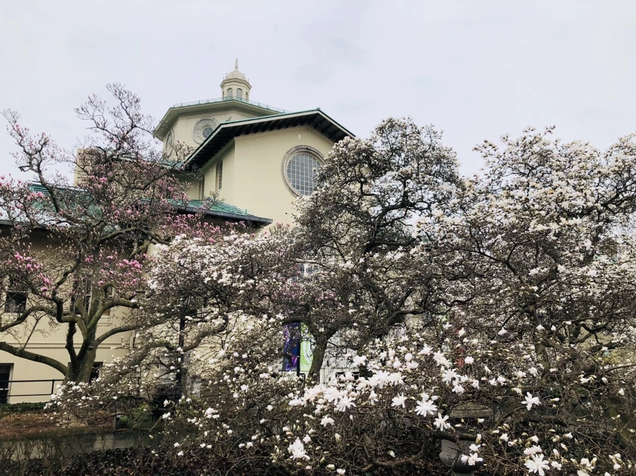 IMG_2353.jpg?type=w966