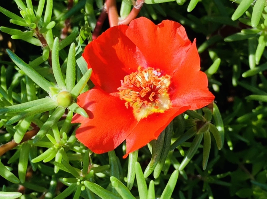 IMG_8409.jpg?type=w966