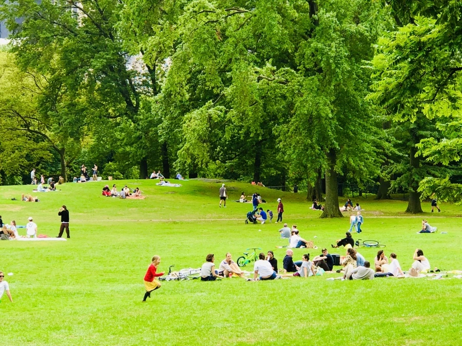 IMG_0111.jpg?type=w966