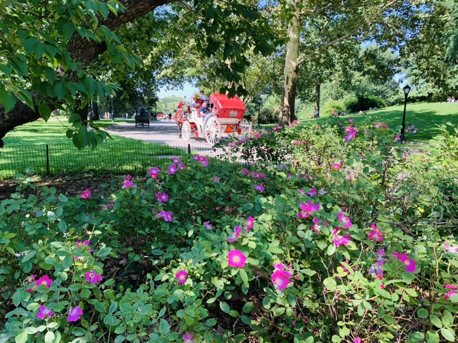 IMG_4432.jpg?type=w966