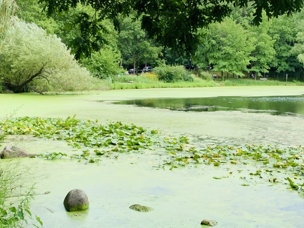 IMG_1282.jpg?type=w966