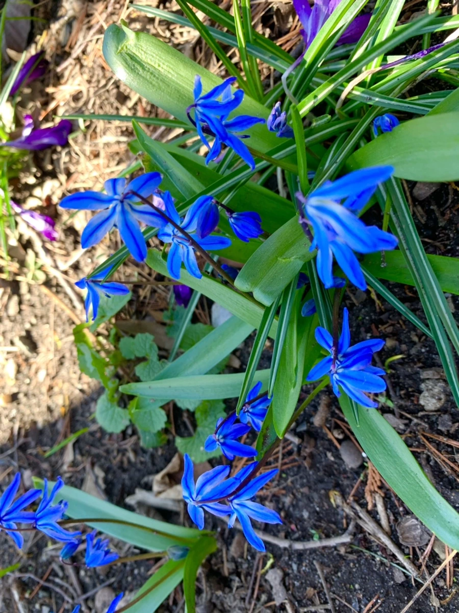 IMG_5662.jpg?type=w966