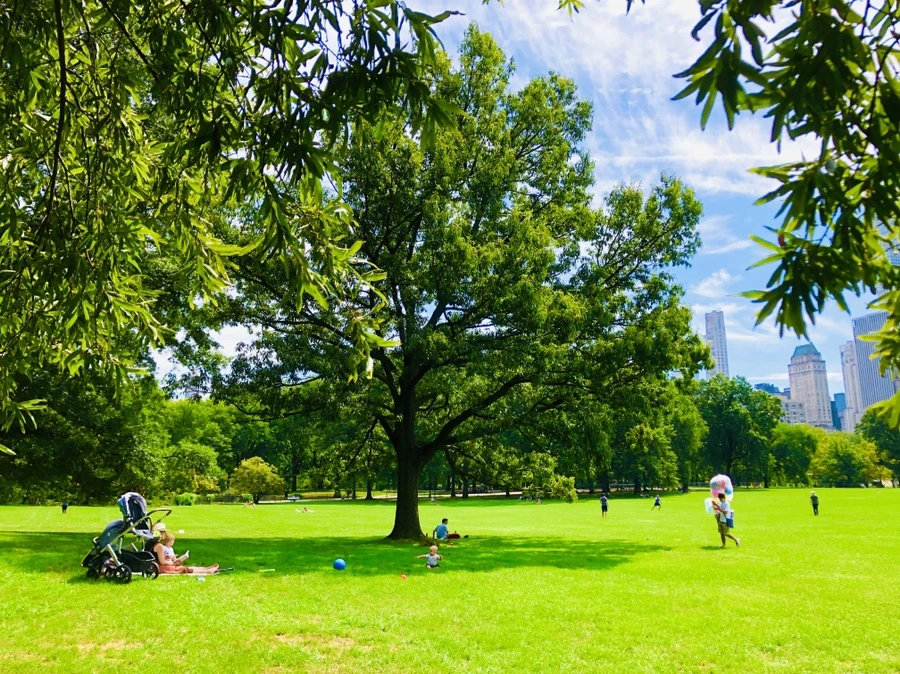 IMG_9052.jpg?type=w966