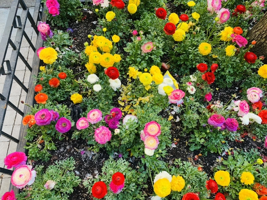 IMG_5409.jpg?type=w966