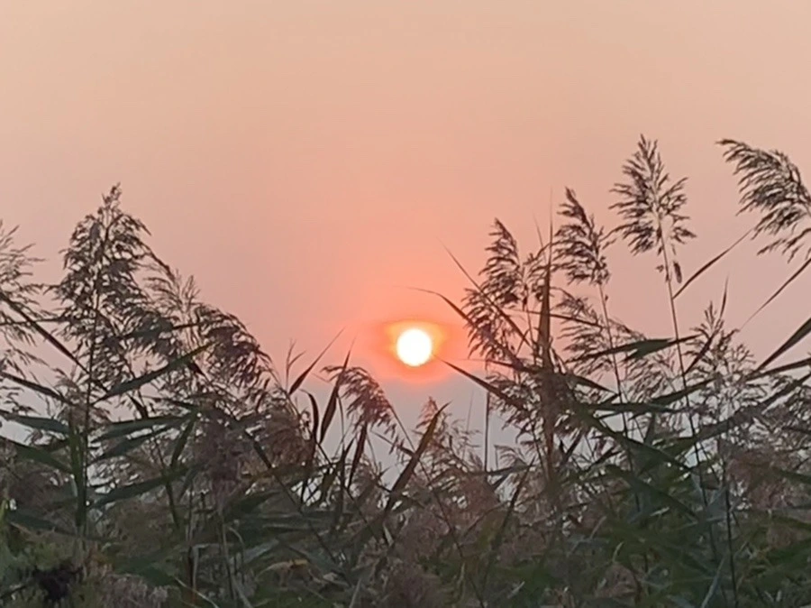 hfronQBWsRGz20wKGDHy6Ba9lXc