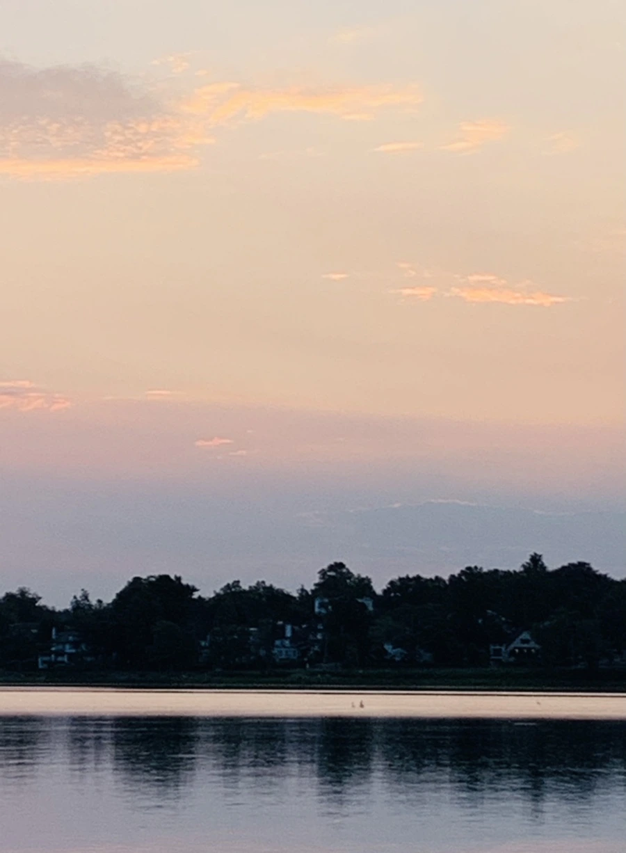 IMG_4609.jpg?type=w966