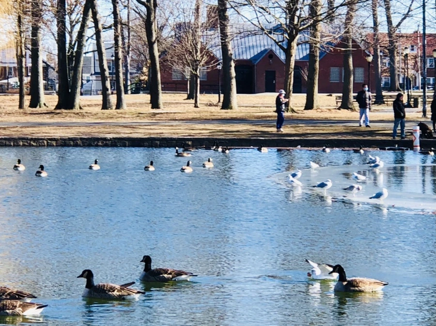 IMG_5552.jpg?type=w966