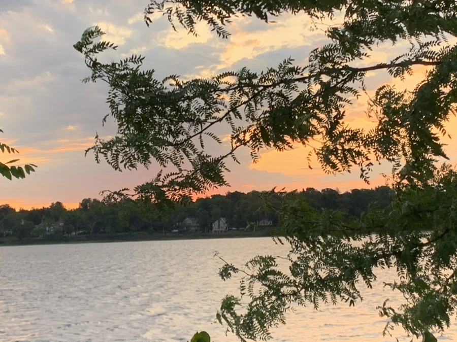 IMG_1691.jpg?type=w966