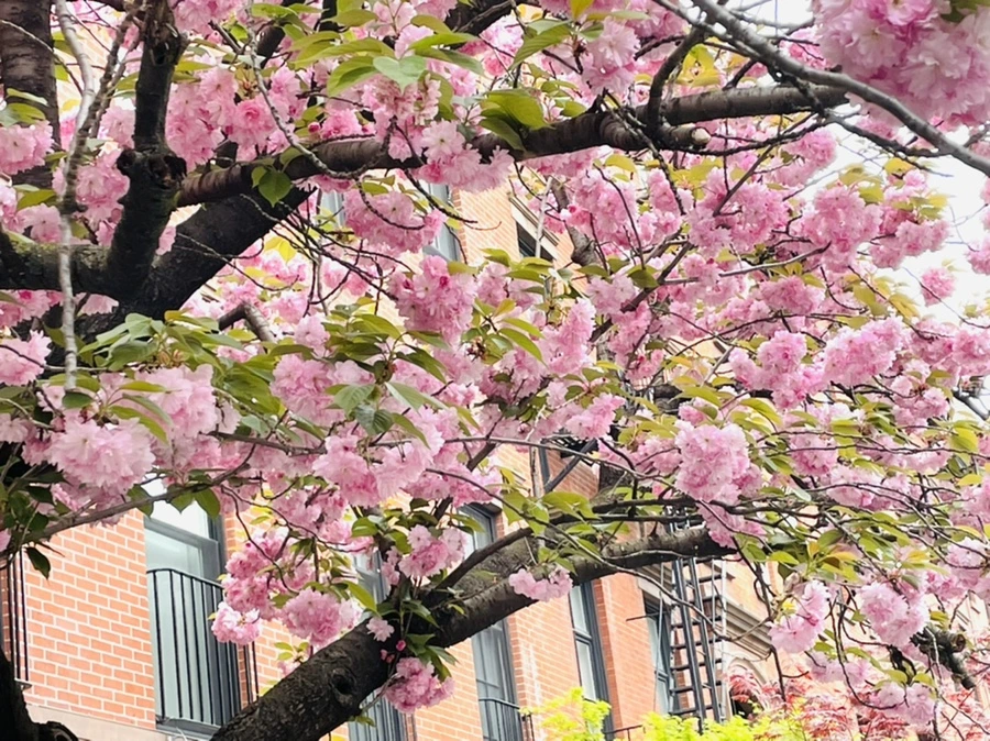 IMG_2545.jpg?type=w966