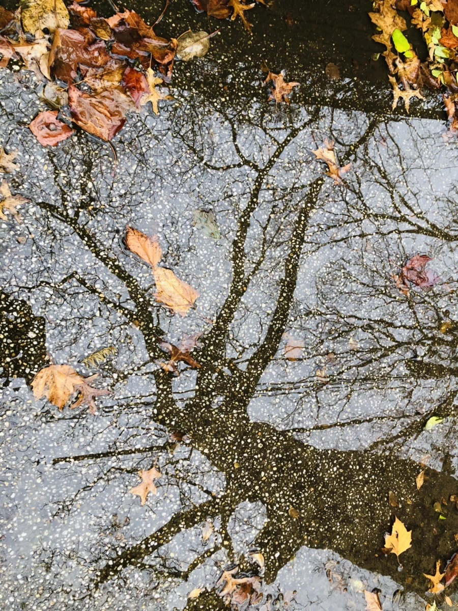 IMG_8138.jpg?type=w966