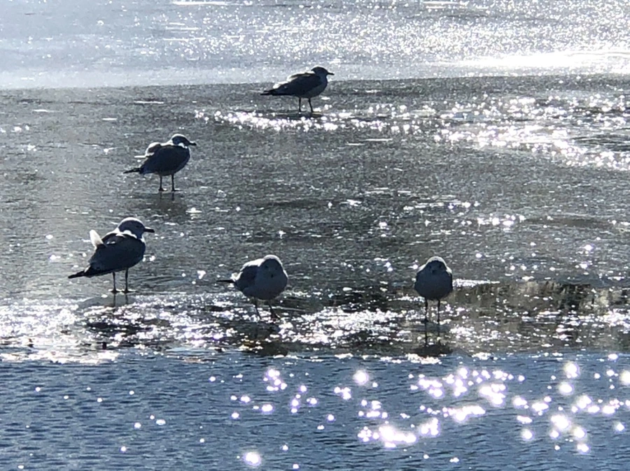 IMG_6848.jpg?type=w966