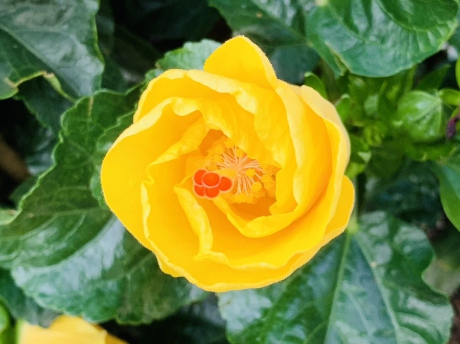 lpaY8a7A90_InzpBi-BbGHQYUKE