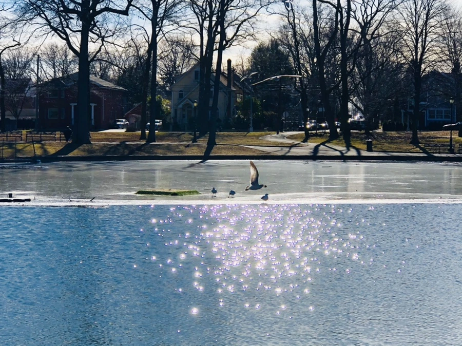 IMG_5414.jpg?type=w966