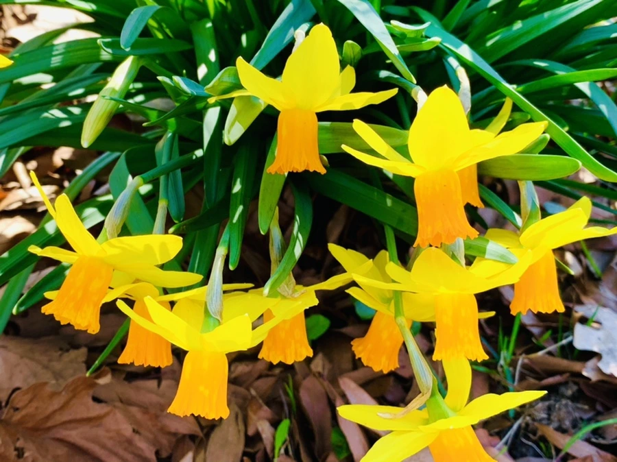 IMG_5820.jpg?type=w966