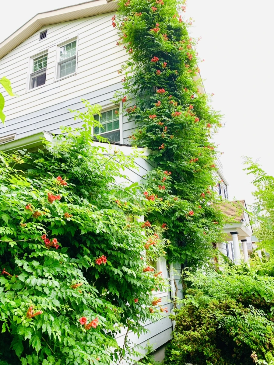 IMG_6942.jpg?type=w966