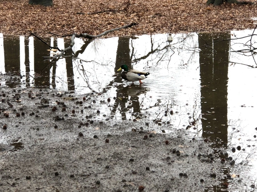 IMG_5659.jpg?type=w966