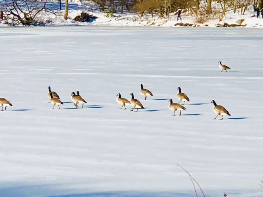 IMG_9881.jpg?type=w966