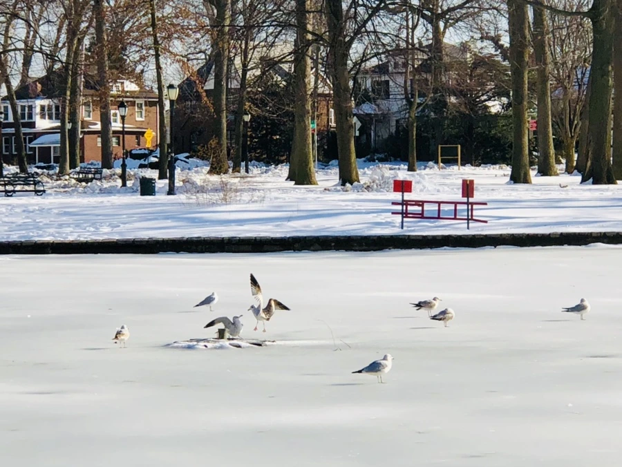 IMG_0340.jpg?type=w966