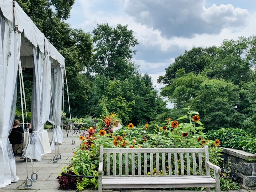 IMG_9331.jpg?type=w966