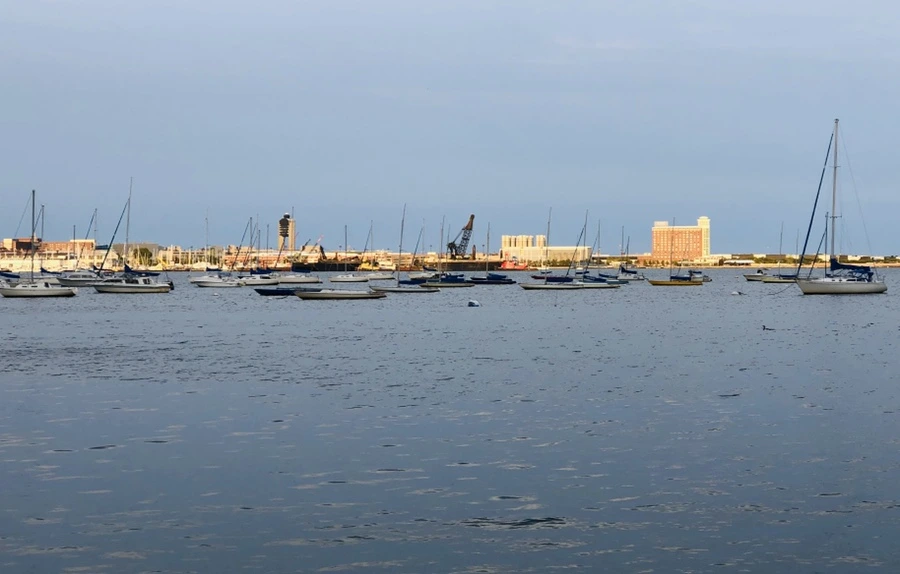 IMG_0634.jpg?type=w966