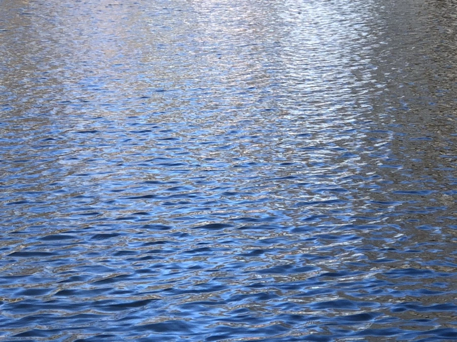 IMG_3807.jpg?type=w966