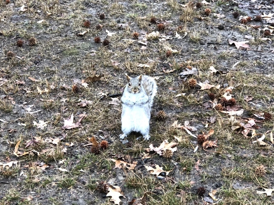 IMG_9492.jpg?type=w966