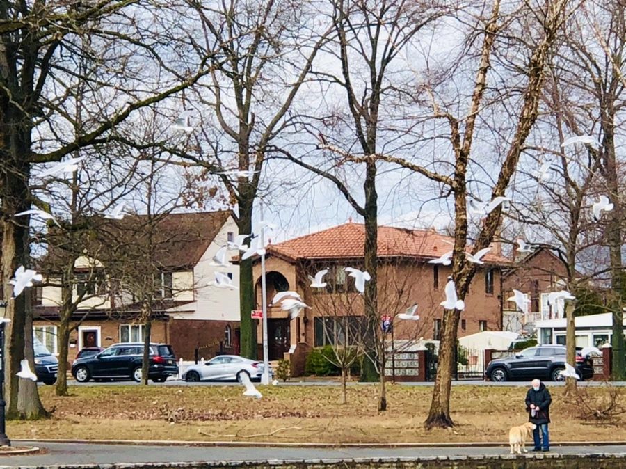 IMG_8642.jpg?type=w966