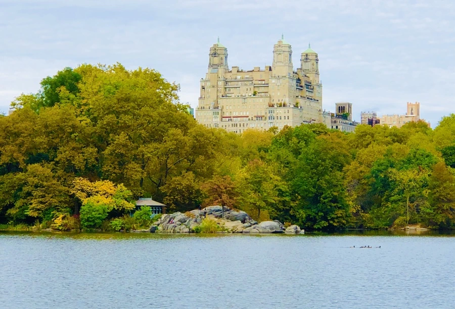 IMG_3049.jpg?type=w966