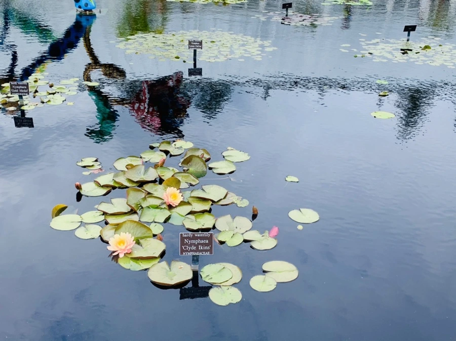 IMG_8342.jpg?type=w966