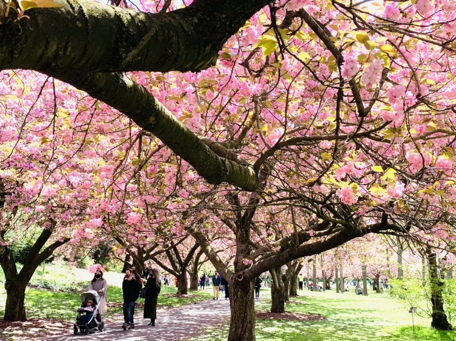 IMG_6443.jpg?type=w966