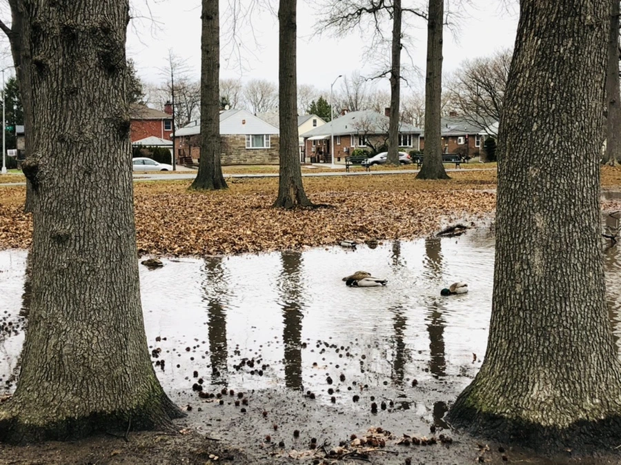 IMG_9523.jpg?type=w966