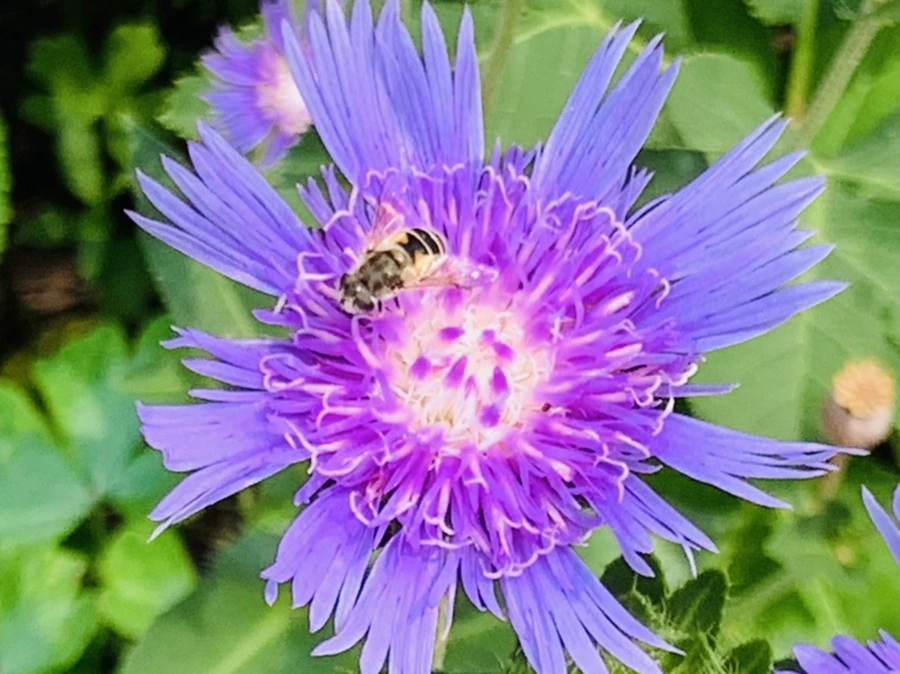 IMG_9429.jpg?type=w966