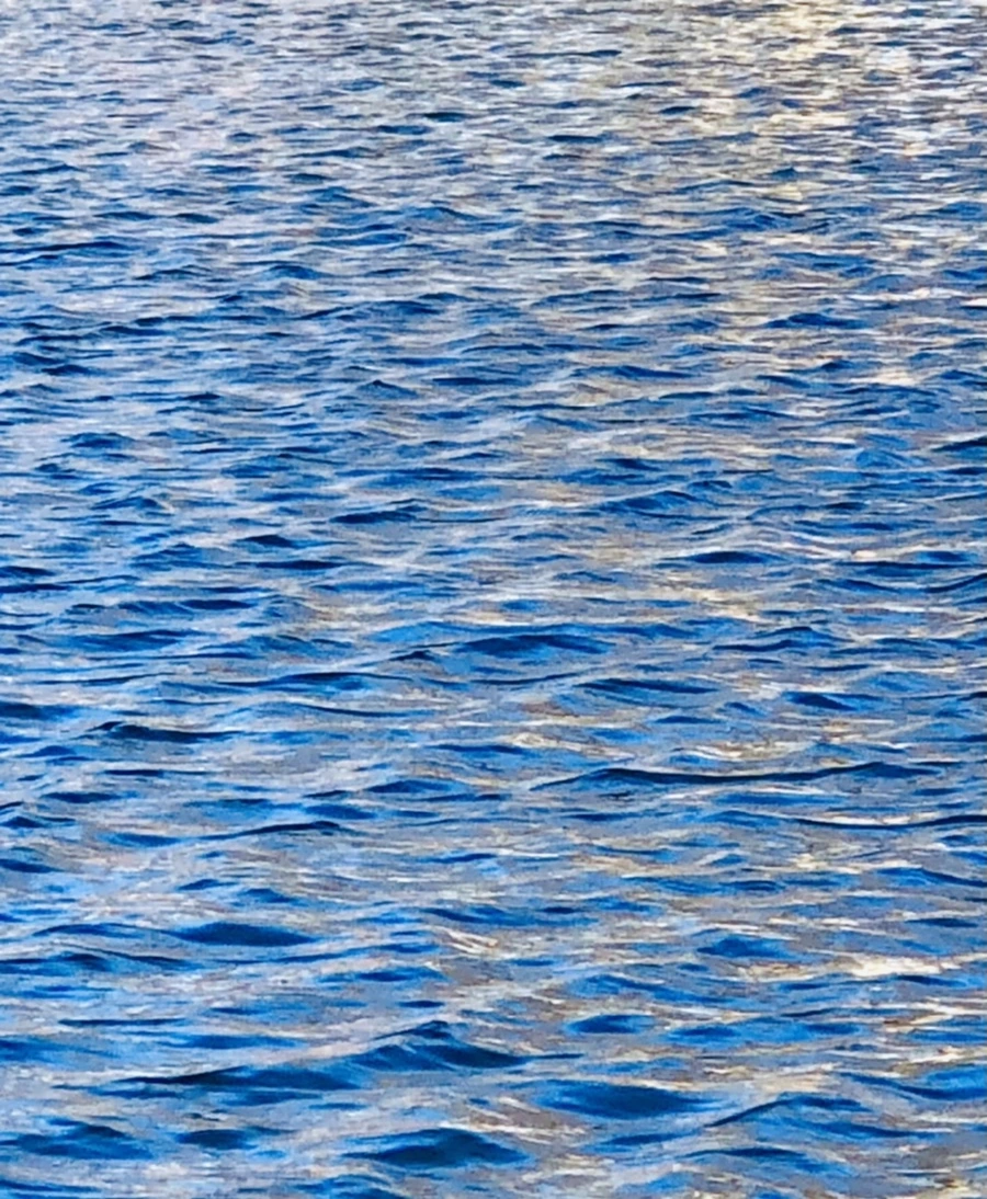 IMG_3749.jpg?type=w966