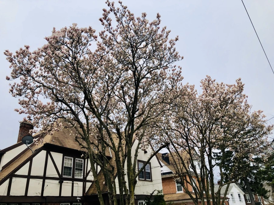 IMG_6712.jpg?type=w966