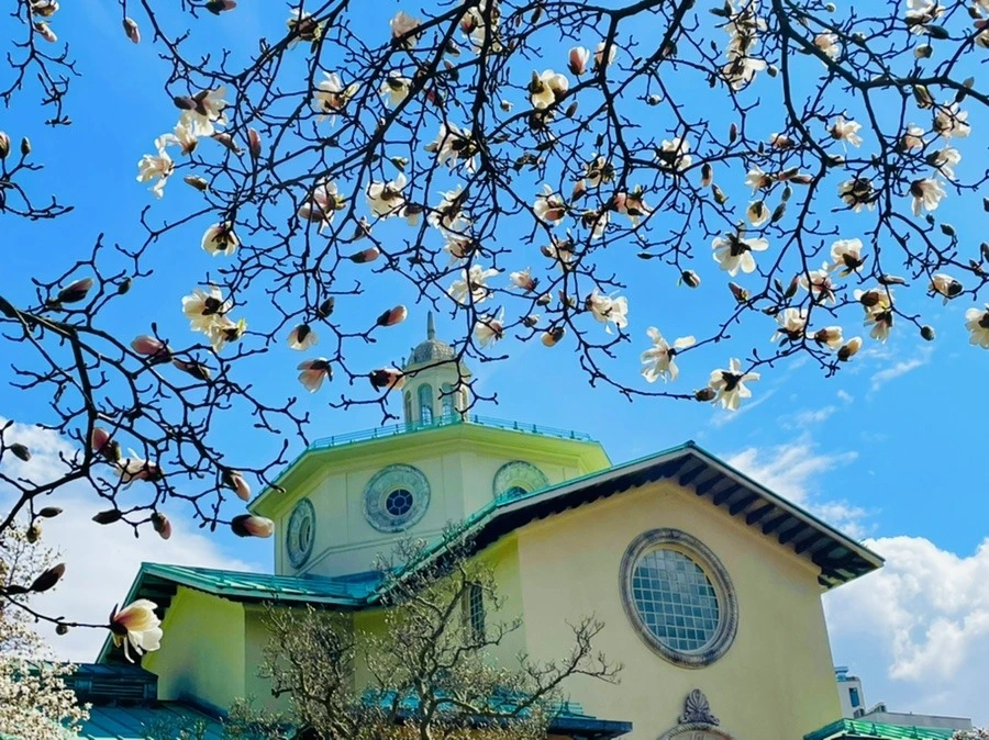 hyLjZVi2-_Sj4LLsl46cB6HifiM