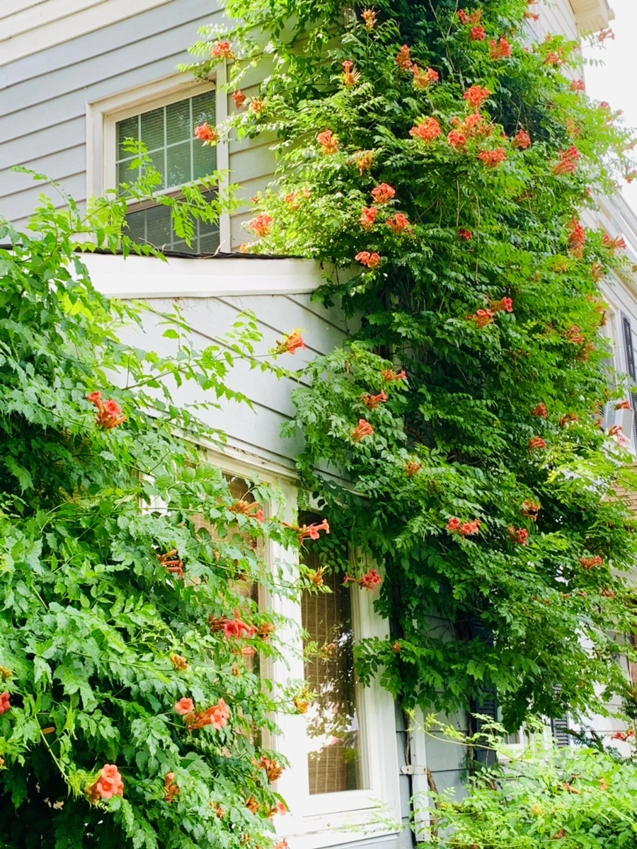 IMG_9615.jpg?type=w966