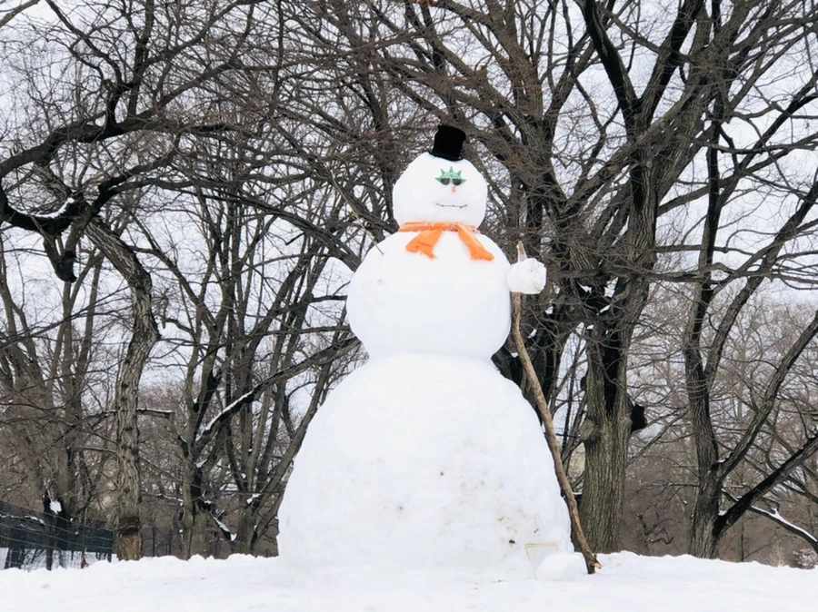 IMG_9541.jpg?type=w966