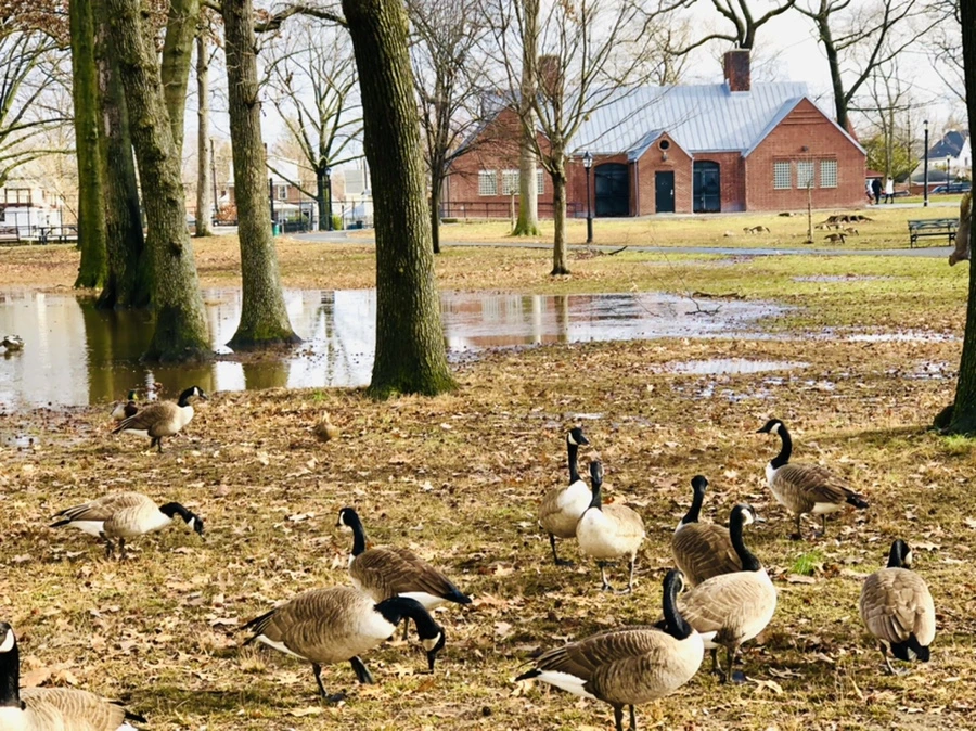 IMG_3546.jpg?type=w966