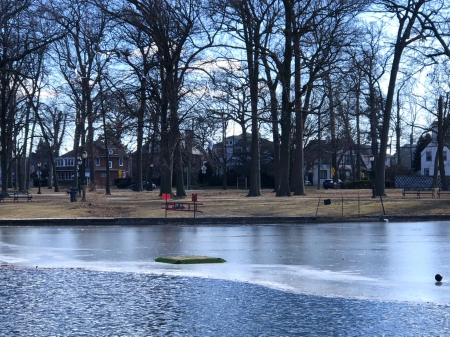 IMG_7617.jpg?type=w966