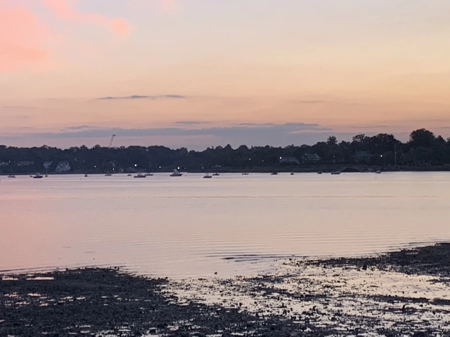 IMG_8735.jpg?type=w966