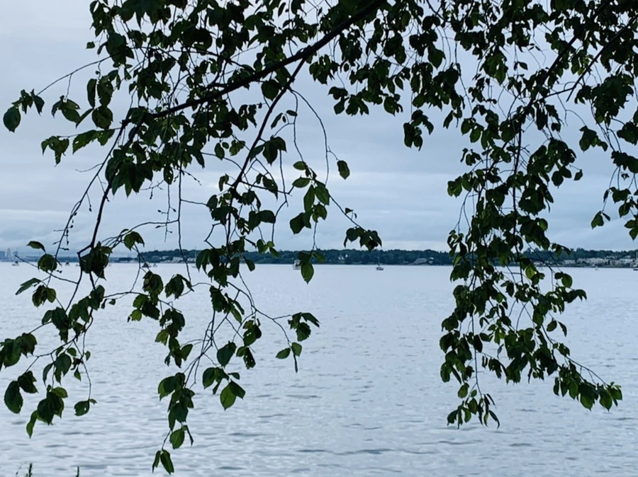 IMG_7762.jpg?type=w966