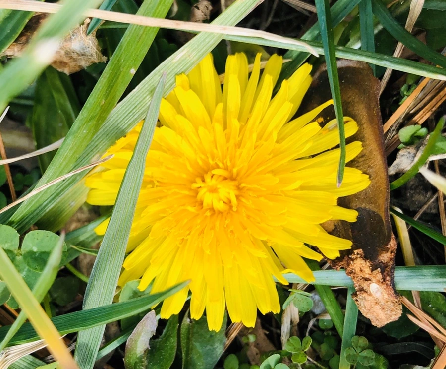 IMG_3407.jpg?type=w966