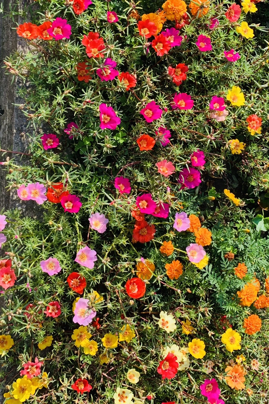 IMG_6632.jpg?type=w966