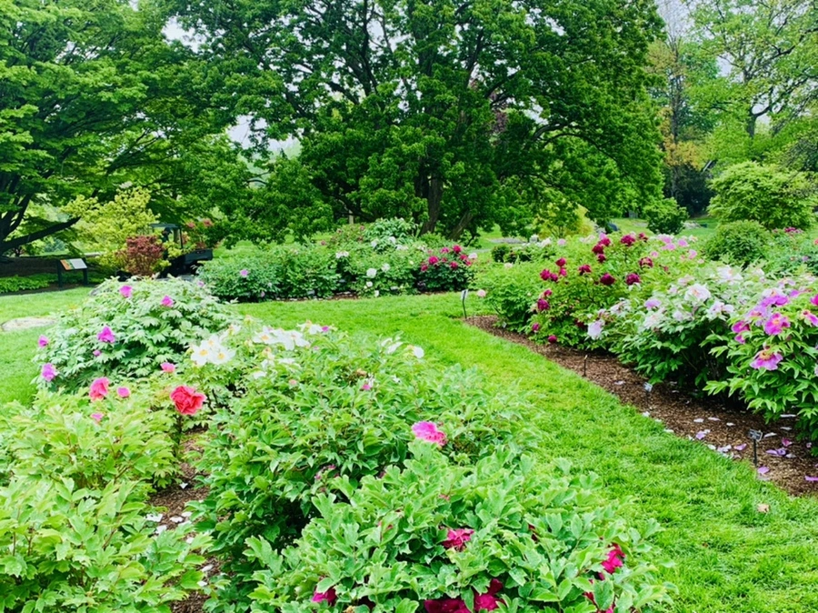 IMG_9991.jpg?type=w966