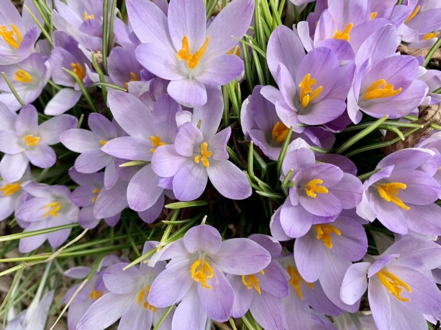 jYsKaPp8uRf0U-m7-gaRR1gyNoA