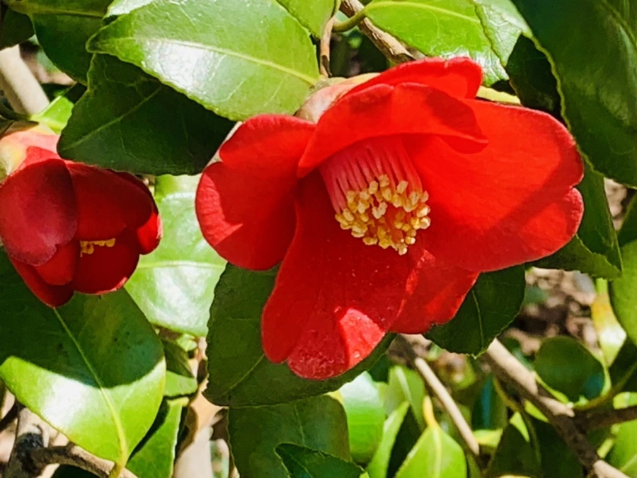 IMG_5722.jpg?type=w966