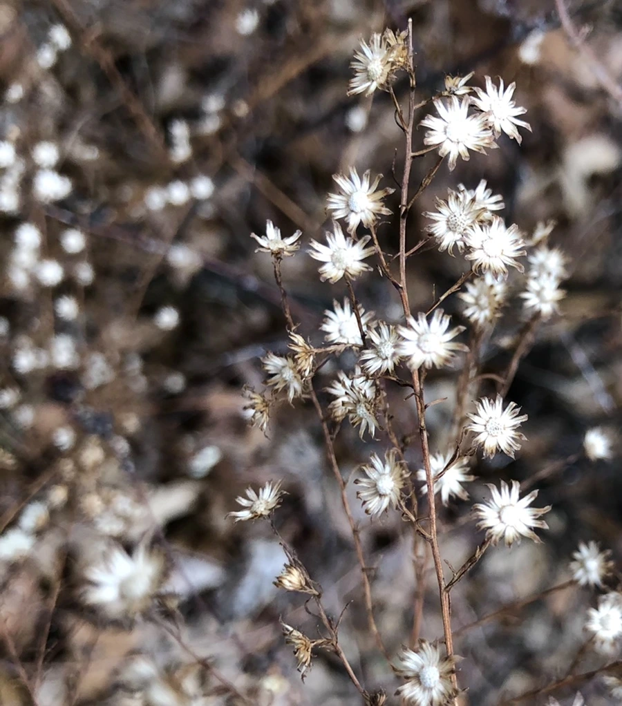 IMG_6502.jpg?type=w966